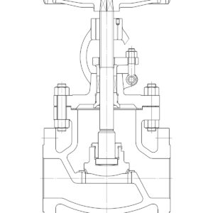 Globe Valve Manufacturer