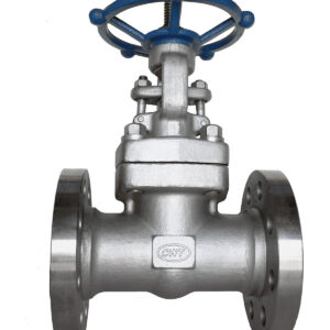 Gate Valve Manufacturer